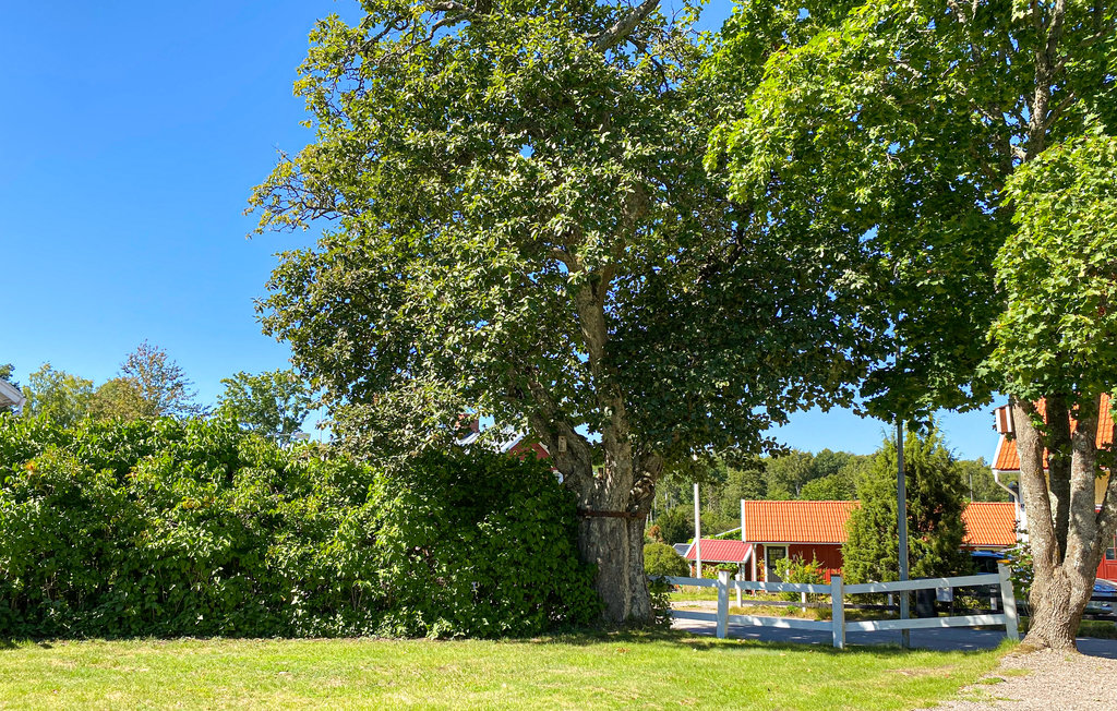 Ferienwohnung - Mariestad , Schweden - S50430 7