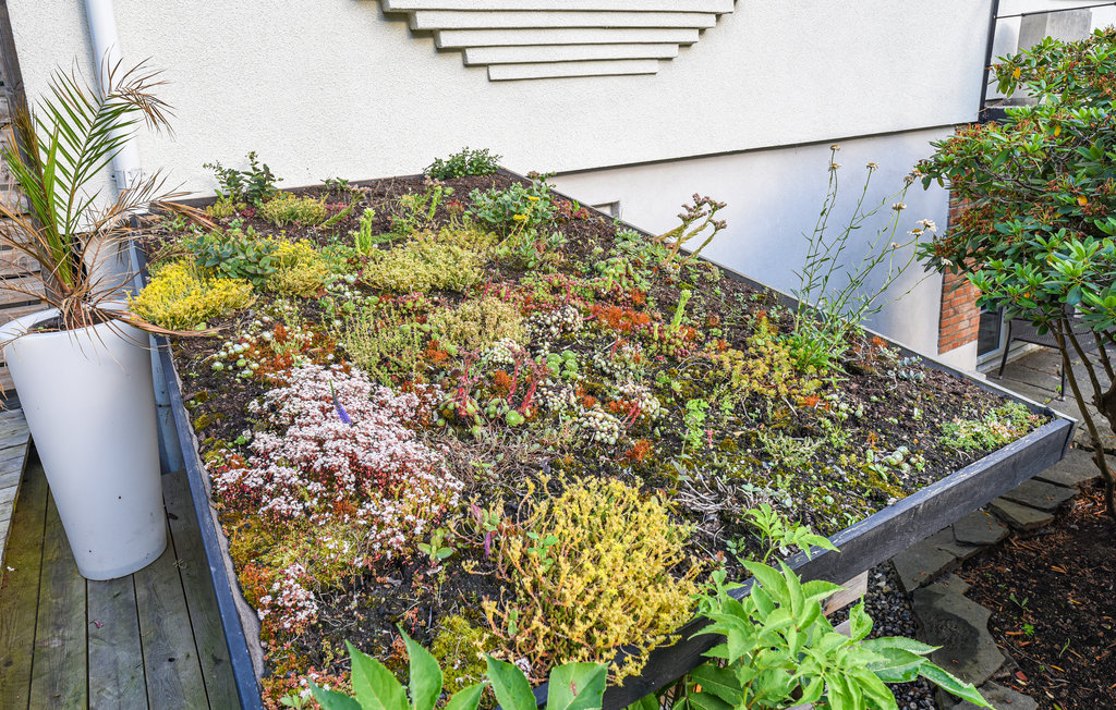 Ferienhaus - Göteborg , Schweden - S50340 12