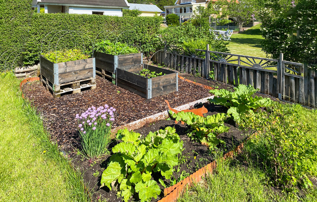 Feriehus - Karlsborg , Sverige - S50521 14