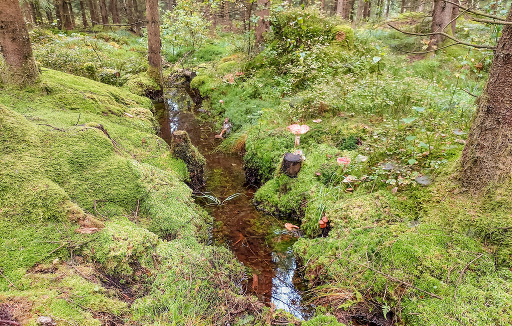 Feriehuse - Björketorp , Sverige - S50179 29