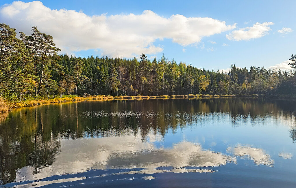 Ferienhaus - Borås/Ulricehamn , Schweden - S50557 18