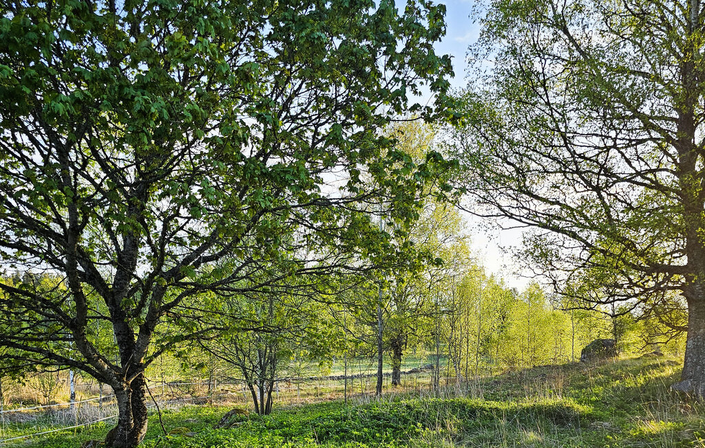 Ferienhaus - Borås/Ulricehamn , Schweden - S50557 19