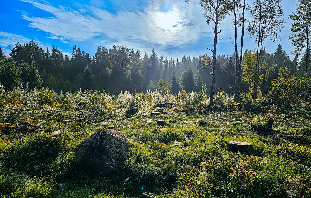 Ferienhaus - Borås/Ulricehamn , Schweden - S50557 22
