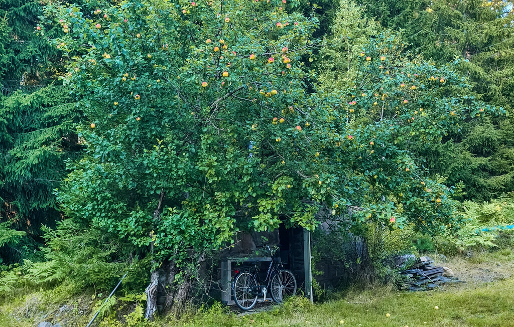 Ferienhaus - Skepplanda , Schweden - S50540 11