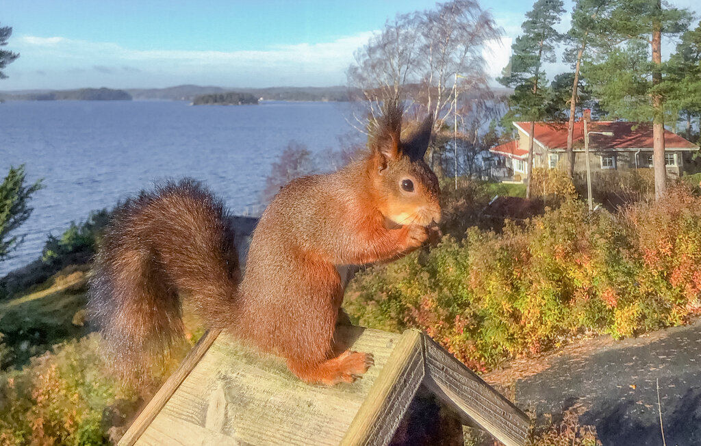 Ferienhaus - Alingsås , Schweden - S50547 13