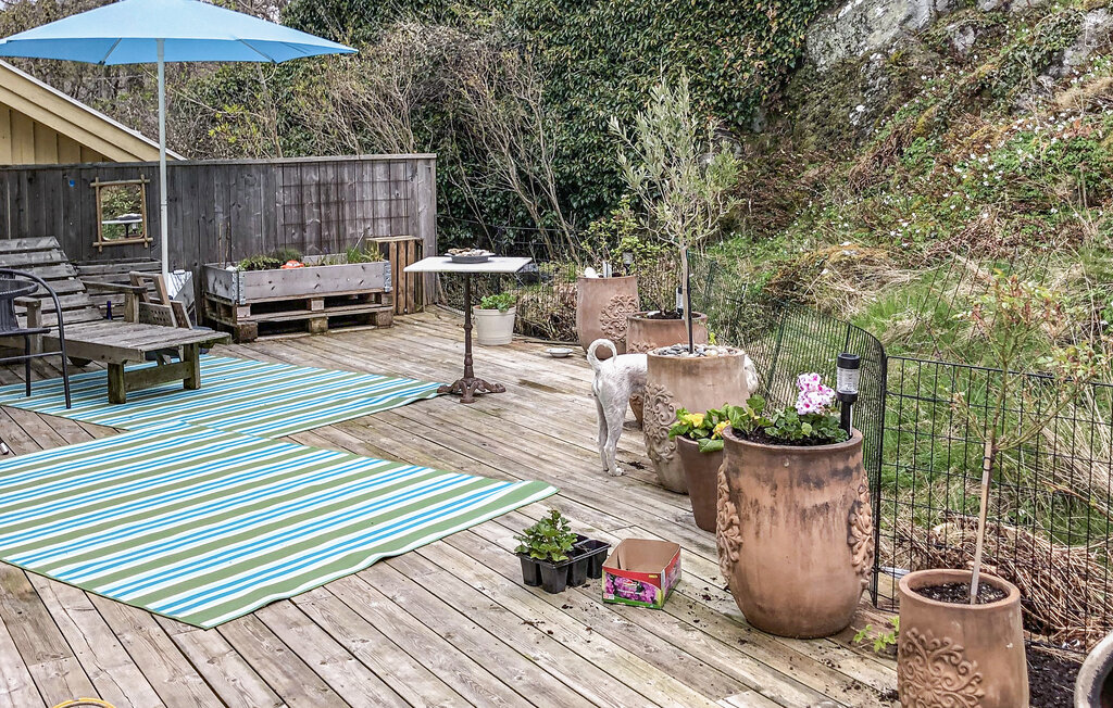 Ferieleilighet - Tjörn , Sverige - S50611 13