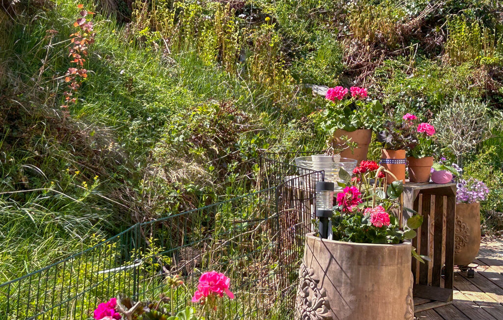 Ferieleilighet - Tjörn , Sverige - S50611 15