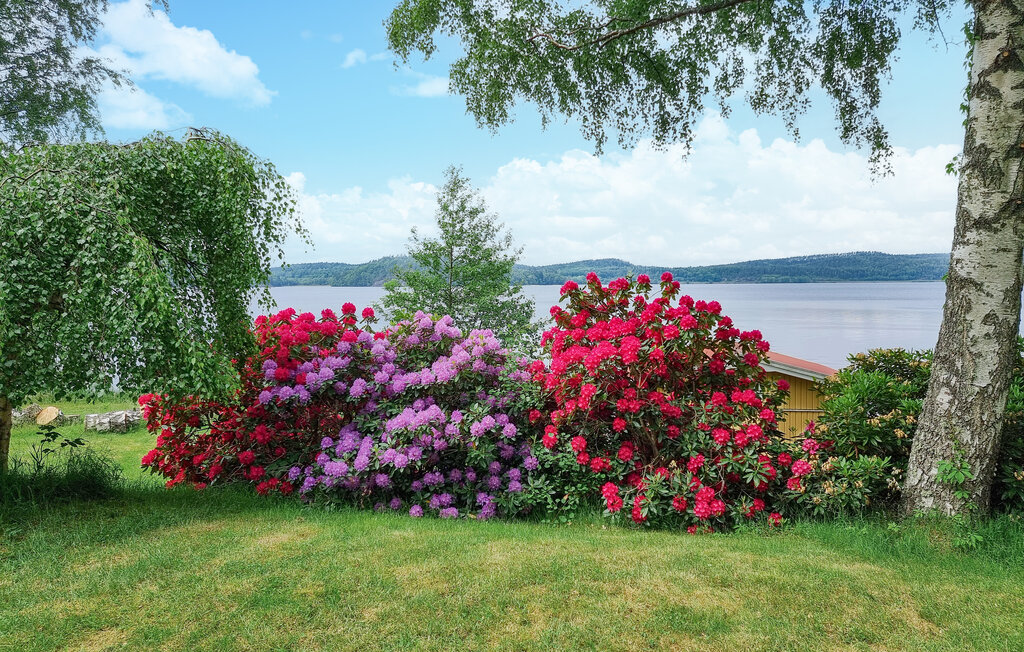 Ferieleilighet - Ingared , Sverige - S50618 19