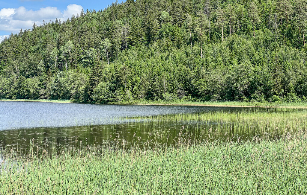 Ferienhaus - Färgelanda/Munkedal , Schweden - S50600 29