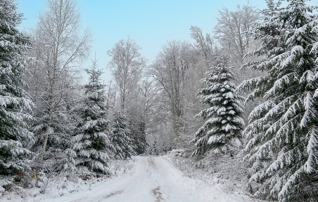 Ferienhaus - Kalv , Schweden - S50221 25