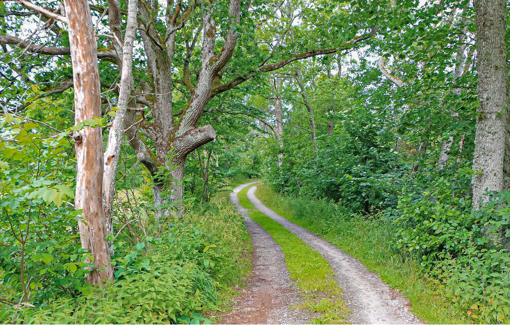 Feriehuse - Fjällbacka/Träsvall , Sverige - S50627 20