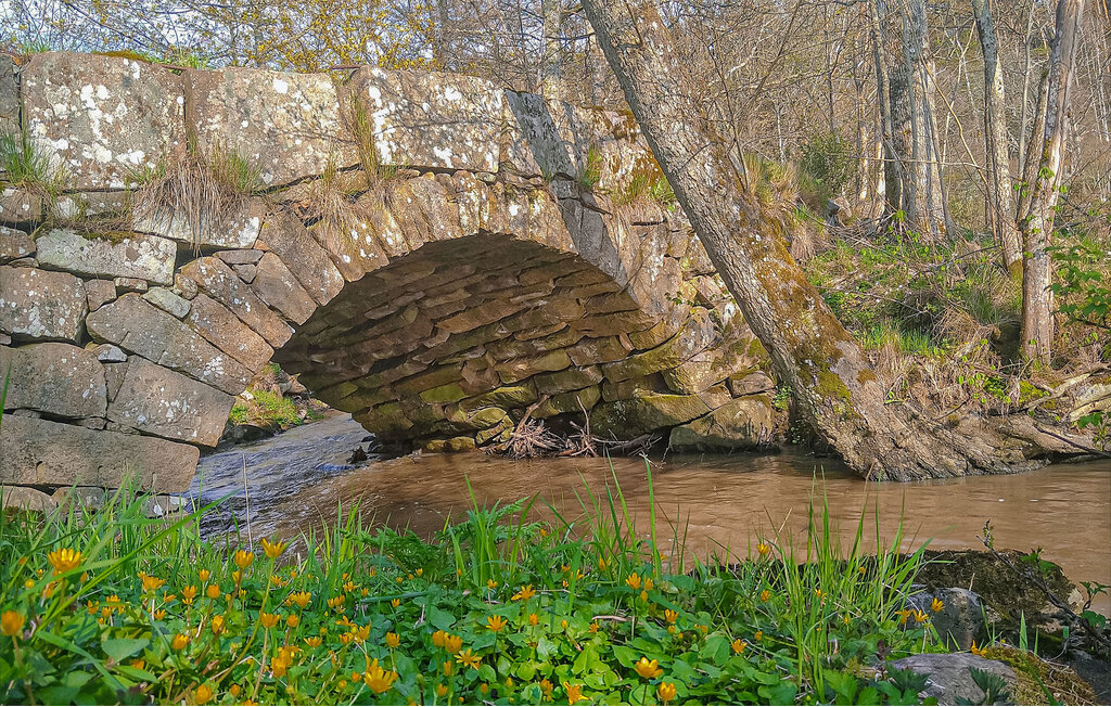 Feriehuse - Fjällbacka/Träsvall , Sverige - S50627 22