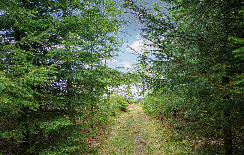 Feriehus - Hattestad/Berghem , Sverige - S50463 34