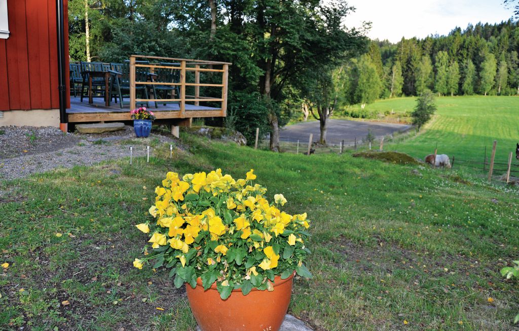 Bild 5 Bild 5