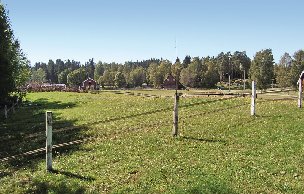 Bild 5 Bild 5