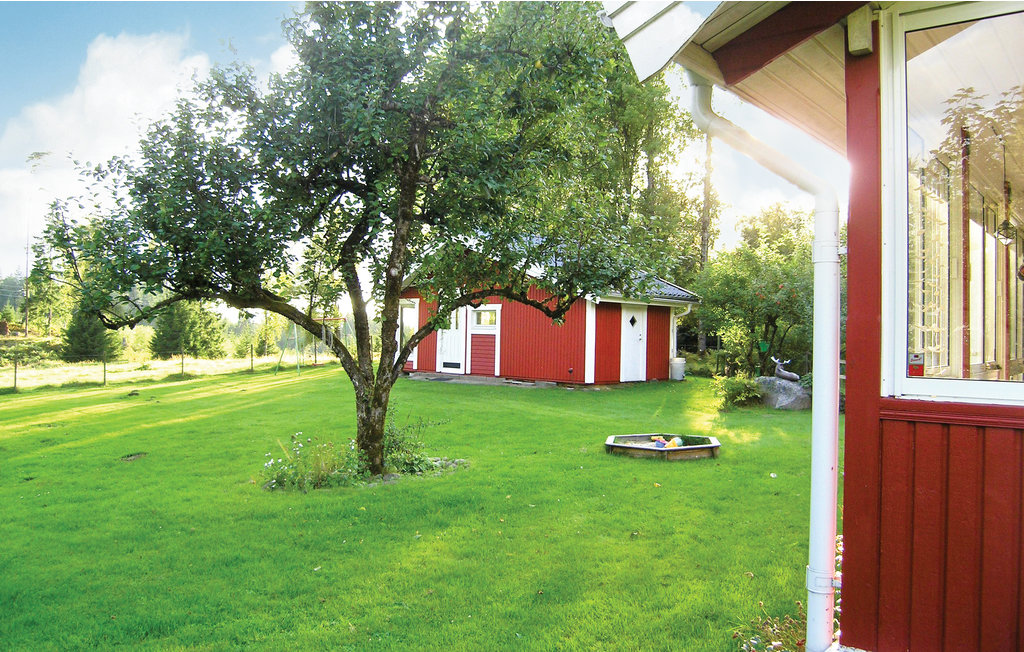 Bild 7