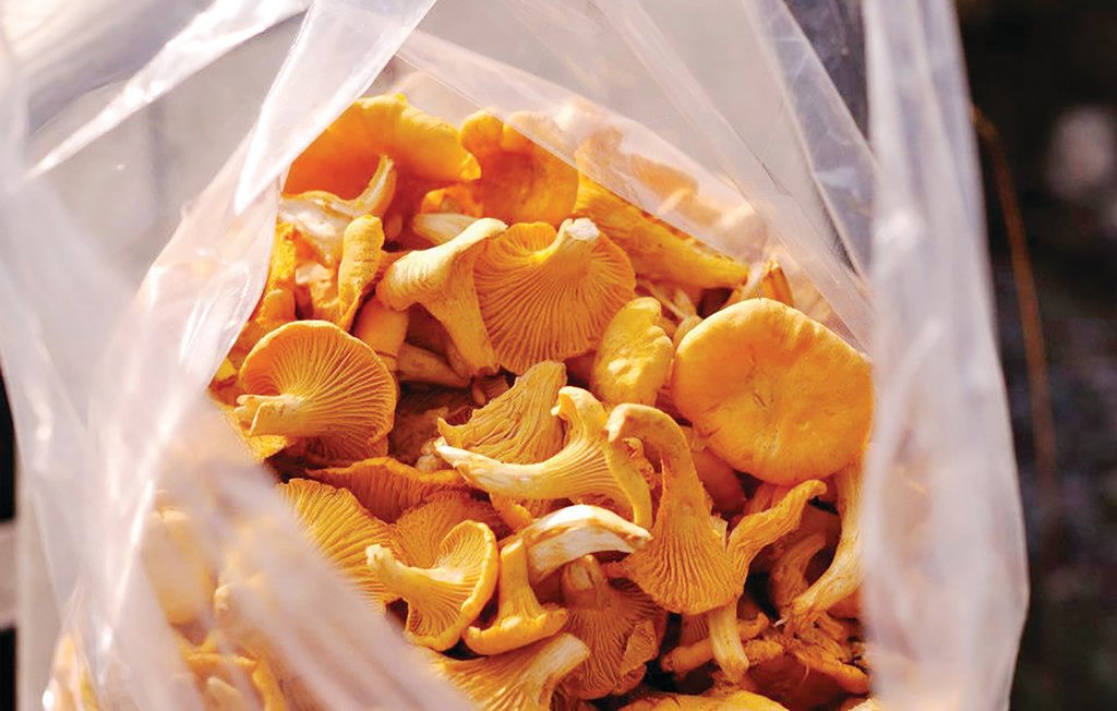 Feriehus - Hedekas , Sverige - S54006 4