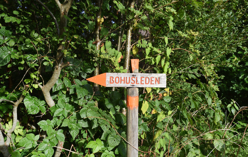 Feriehus - Strömstad , Sverige - S54261 8