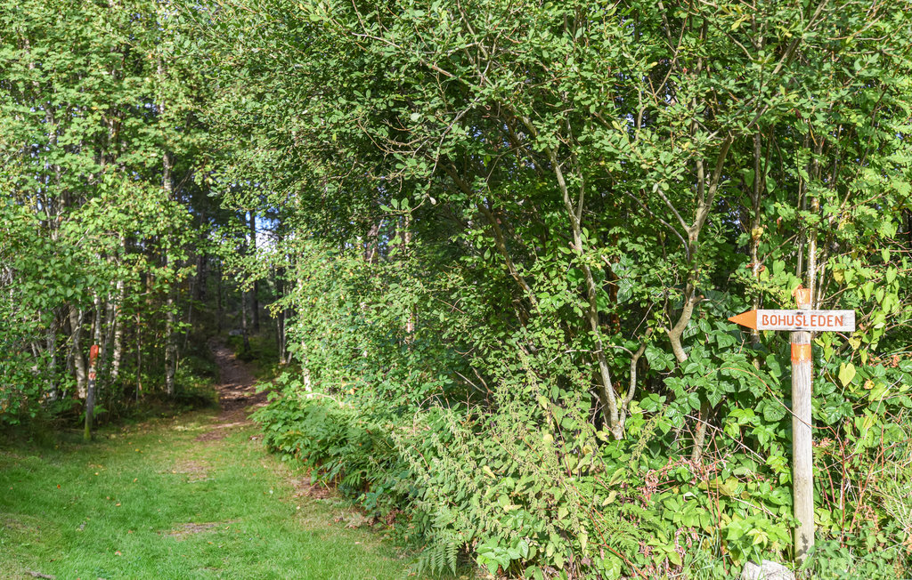 Feriehus - Strömstad , Sverige - S54261 9