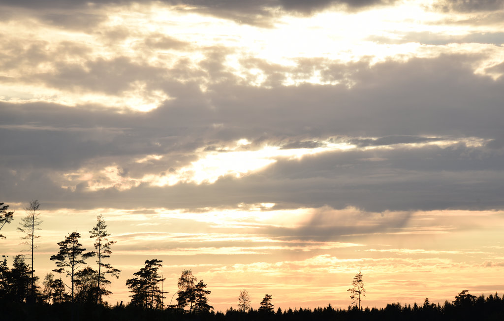 Ferienhaus - Lur , Schweden - S54257 14