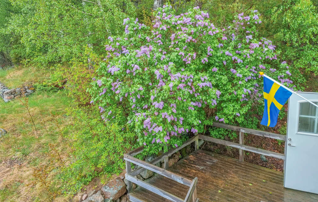 Feriehus - Tanumshede , Sverige - S54329 11