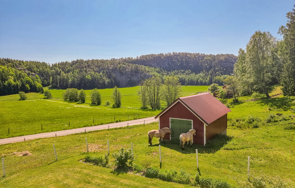 Feriehus - Fjällbacka , Sverige - S54393 15