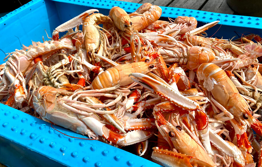 Feriehus - Orust , Sverige - S54368 24