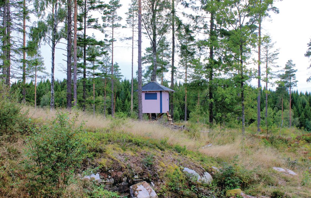 Bild 4 Bild 4