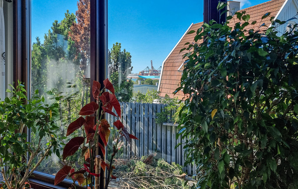 foto17
