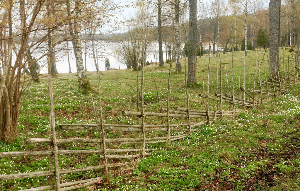 Feriehus - Mellerud/Köpmannebro , Sverige - S57134 26