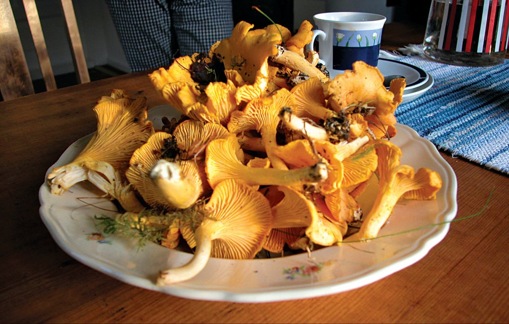 Ferienhaus - Mellerud , Schweden - S57004 15