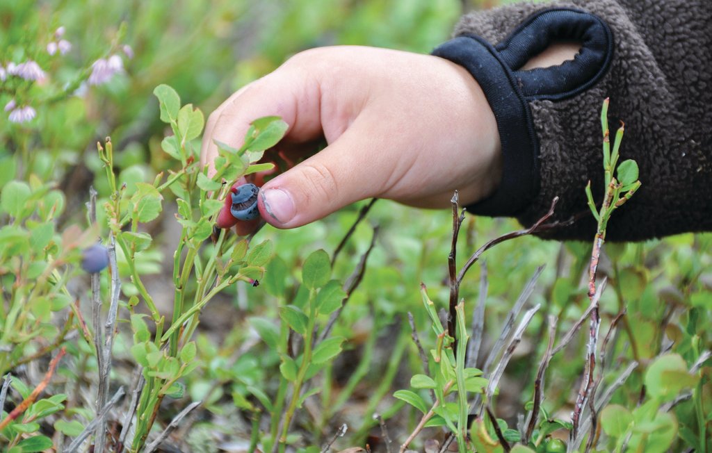 Ferienhaus - Högsäter , Schweden - S57089 12