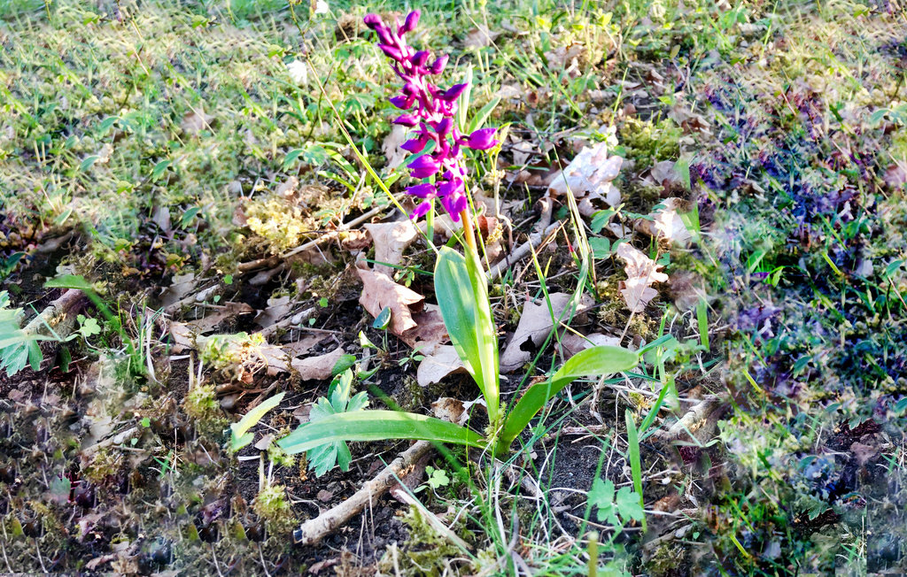 Feriehus - Mellerud/Köpmannebro , Sverige - S57134 34