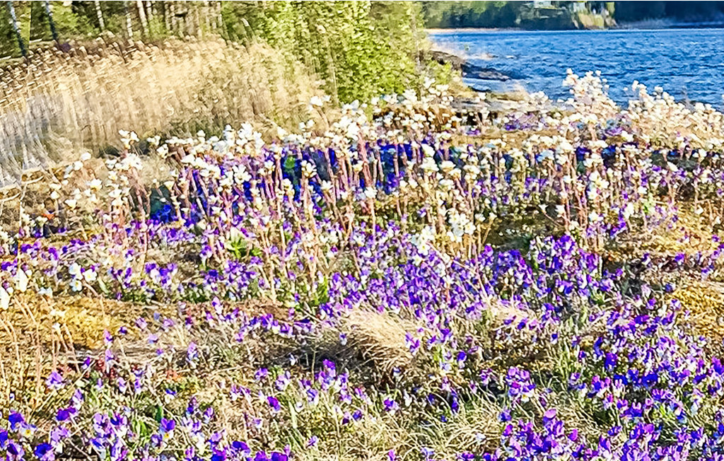 Feriehus - Mellerud/Köpmannebro , Sverige - S57134 35