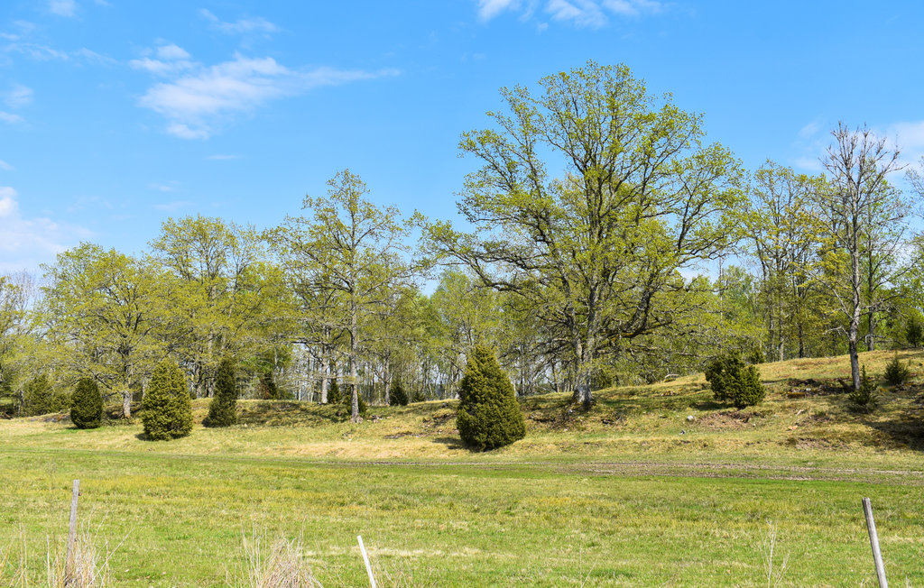 Ferienhaus - Ånimskog Dalsland , Schweden - S57201 16