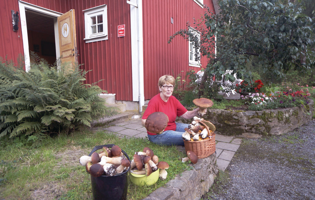 Bild 22 Bild 22