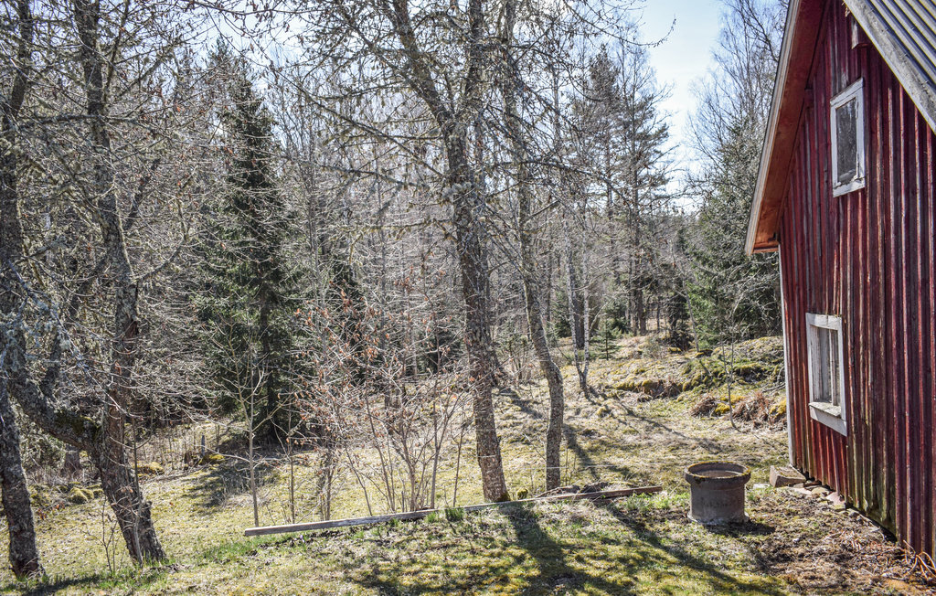 Semesterhus - Ödeshög , Sverige - S60056 10