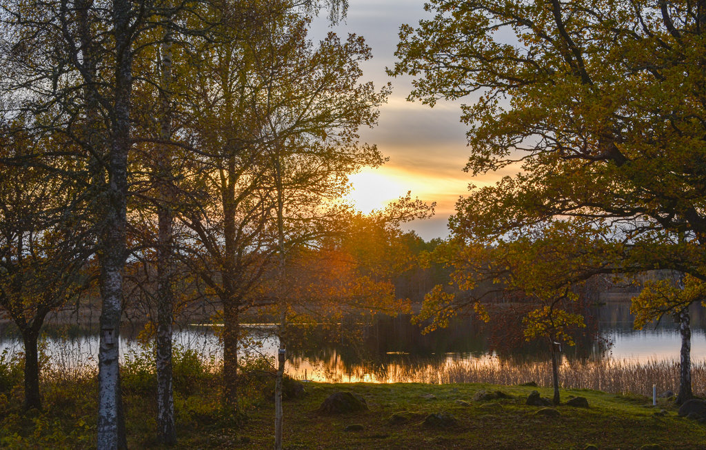 Ferienhaus - Tranås , Schweden - S60160 32