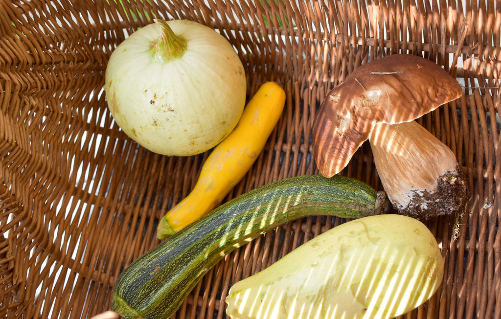 Feriehus - Medevi/Motala , Sverige - S60059 12