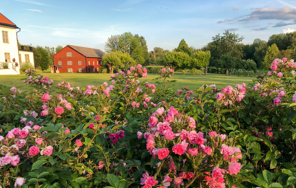 Semesterhus - Mantorp , Sverige - S60083 7