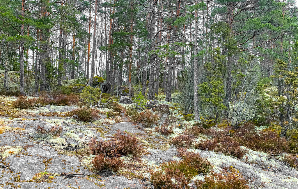 Semesterhus - Kinda/Kisa , Sverige - S60241 8