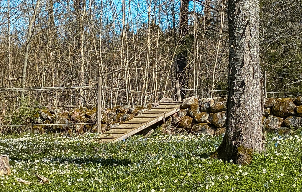 Semesterhus - Motala/Vättern , Sverige - S60235 12