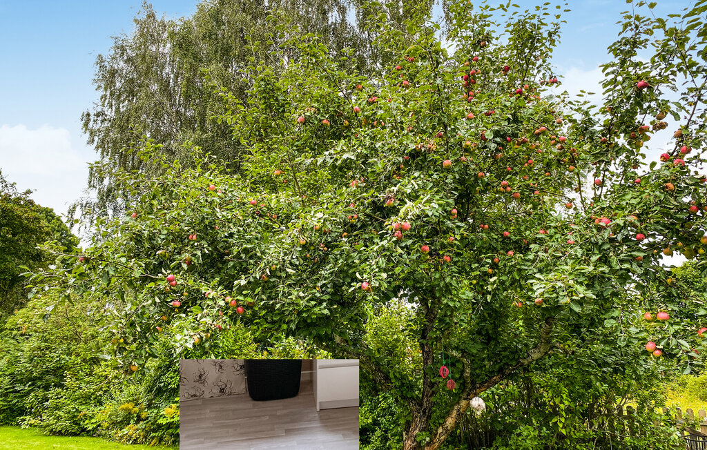 Ferienhaus - Motala , Schweden - S60264 14