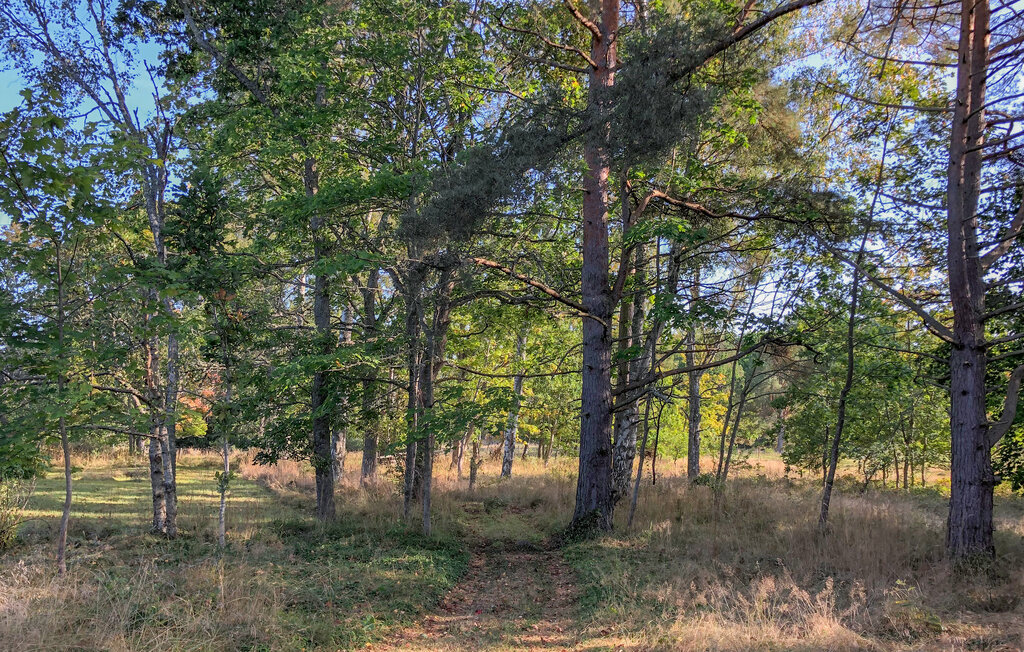 Feriehuse - Arkö/Norrköping/Arkösund , Sverige - S60275 12