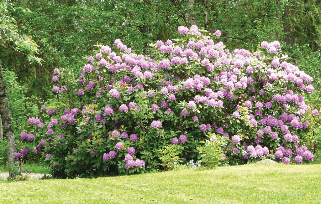 Feriehuse - Tived , Sverige - S64037 11