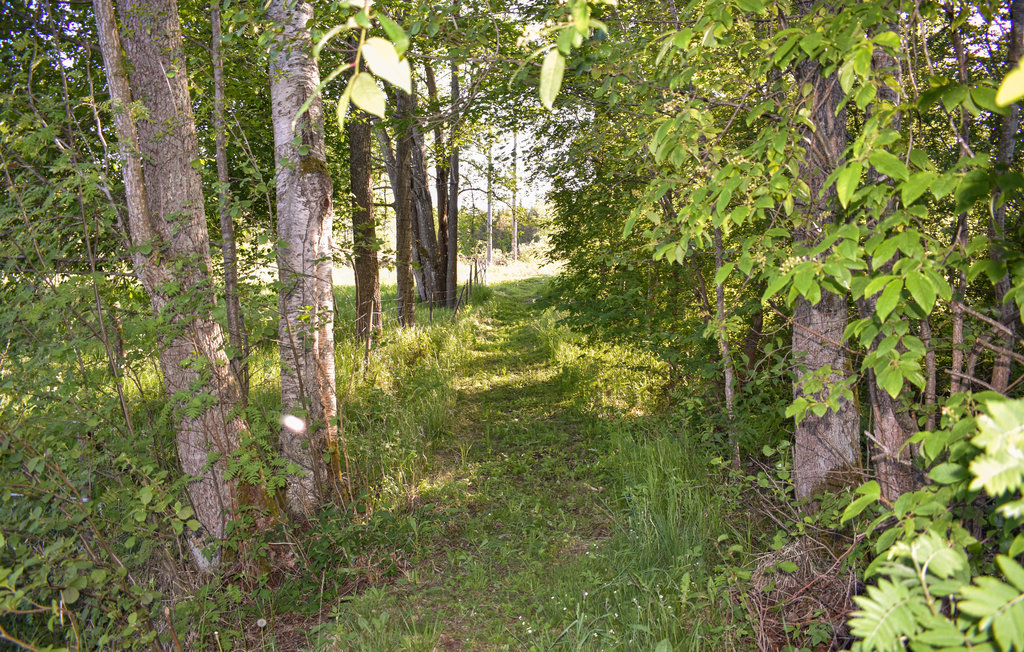 Ferienwohnung - Askersund , Schweden - S64048 12