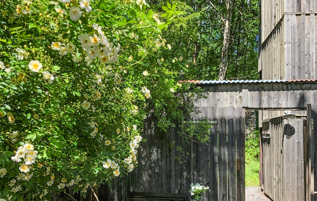 Feriehus - Gammelhyttan , Sverige - S64110 8