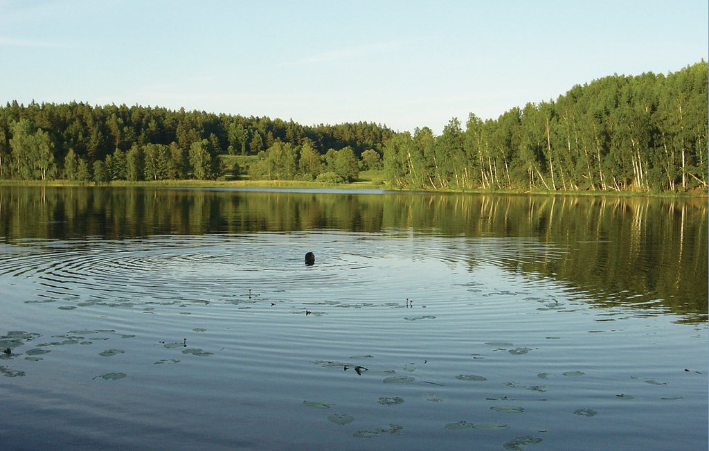 Ferienhaus - Stjärnhov , Schweden - S67015 20