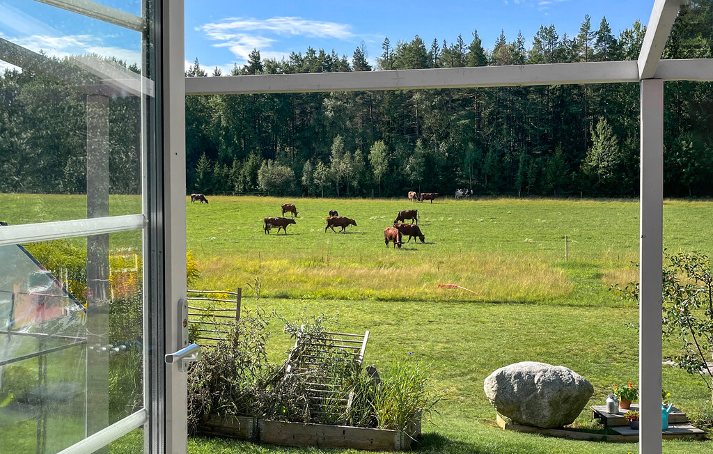 Feriehus - Buskhyttan/Nyköping , Sverige - S67217 7