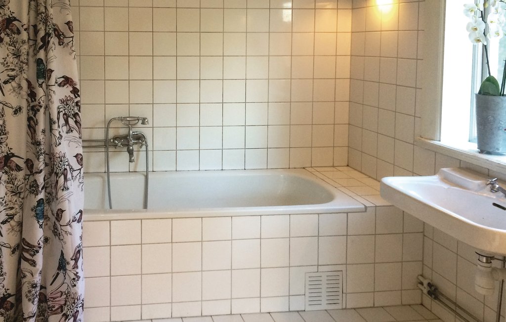 Bild 11 Bild 11